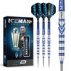 RED DRAGON Gerwyn Price Tungsten Steel Darts Set with Flights
