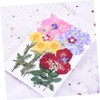FOMIYES Real Dried Flower Face Stickers 24pcs Petal Props for