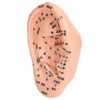 Ear Sticker Acupuncture Kit 600pcs Ear Massage Sticker Acupuncture Model