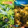ASFSKY Dragonfly Solar Lights Outdoor 50 LED Dragonfly Lights Waterproof