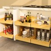 2 Tier Pull Out Cabinet Organizer 14''W×21''D×16.2''H Heavy Duty Slide
