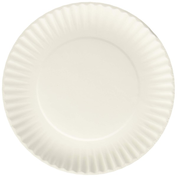 Nicole Home Collection 200 Count Everyday Dinnerware Paper Plate, 9-Inch, White
