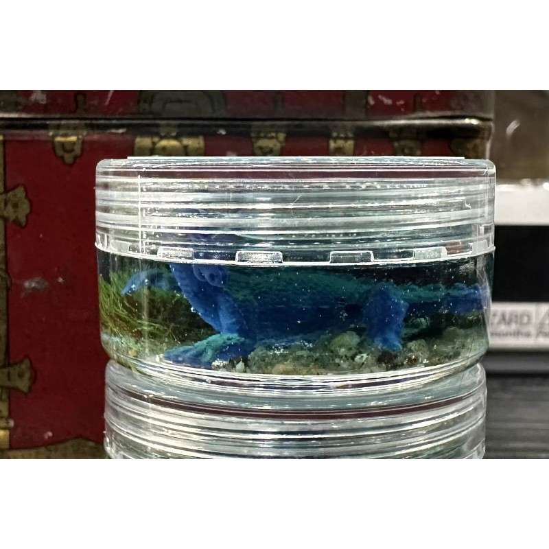 Cryptid Collectibles Loch Ness Monster Nessie Pocket Cryptids Handmade Mini