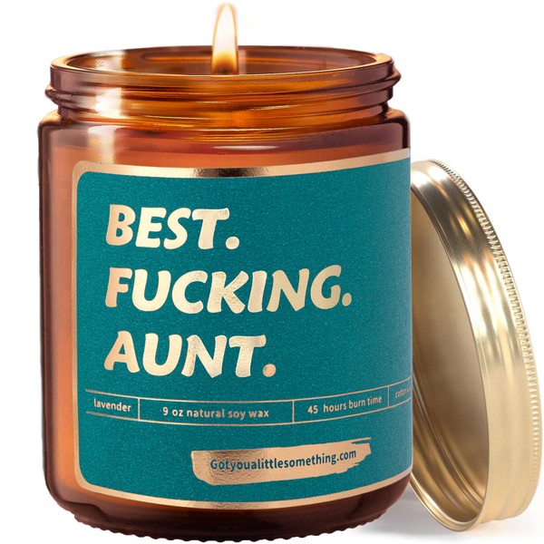Got You a Little Something Best Aunt Ever Funny Lavender
