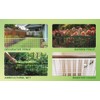 PotatoLife Plastic Hardware Mesh Netting, Temporary Fence, Tree Guards, Staircase