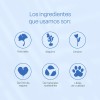 Maquillaje Para Piel Mixta/grasa Teia Cosméticos Naturales Medio