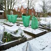 ZENWORYS 2 Packs Plant Covers Freeze Protection Large Frost Blankets
