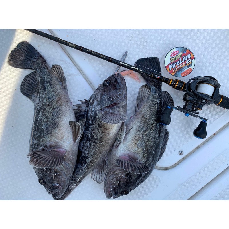Berkley Super Fireline Ultra 8 No. 2.0 / 30lb, 150m