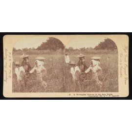 Special Label Photo:Philippi