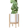 D'vine Dev Ceramic Planter with Natural Stand - 10 Inch