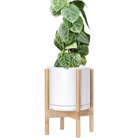 D'vine Dev Ceramic Planter with Natural Stand - 10 Inch Modern Round Flower Pot with Wood Planter Holder, White, 55-B-K-1