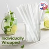 Delxo 500 Count Individually Wrapped Clear Plastic Straws - 10.25