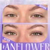 Wispy Lash Clusters Natural Eyelash Clusters C Curl Individual Lashes