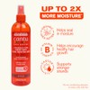 Cantu Comeback Curl Next Day Curl Revitalizer, 12 Fluid Ounce