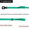 ICEFANG Tactical Dog Leash,K9 Training Walking Bungee Lead with 2
