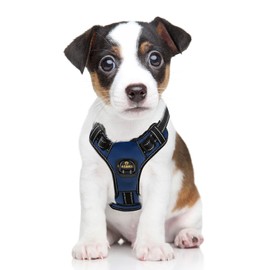 MASBRILL Dog Harness Adjustable Anti Pull Safety Harness, Reflective Chest Harness, Soft Padded, Breathable Dog Harness for Large, Medium and Small Dogs
