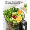 3-in-1 Cold Press Juicer, Juicer Machine,Makes Juice & Sorbet &