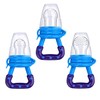 Fruit Feeder Pacifier - Blue