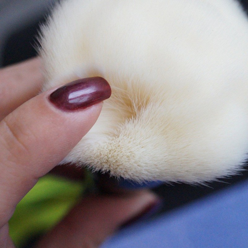 Vela.Yue Flower Shape Loose Powder Brush Large Size Makeup Brush