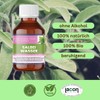 Salbeiwasser Bio – 100 % naturrein – Salvia officinalis Leaf Water