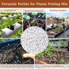 Riare 4 Quarts Organic Perlite for Plants - Horticultural Perlite