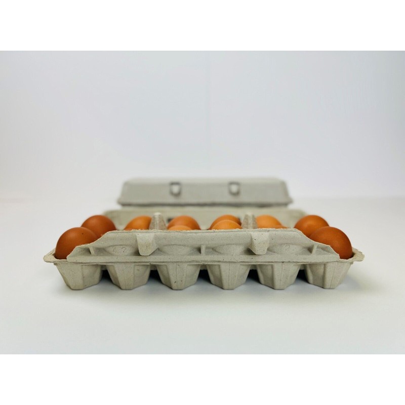 Zellwin Farms Company Non-Printed Egg Carton - 100 units