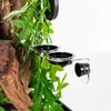 WACOOL Magnetic Reptile Ledge, Acrylic Gecko Feeding Ledge with 6PCS
