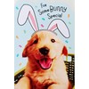 For Somebunny Special - Cute Happy Easter Greeting Card with