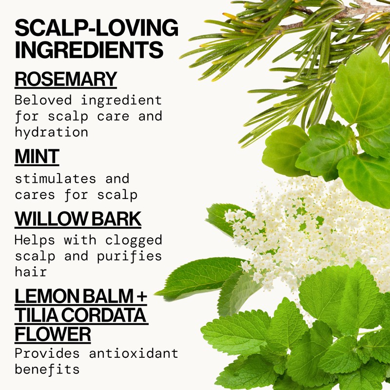 Pacifica Clarifying Shampoo – Rosemary Purify Invigorating Shampoo w/Soothing Mint