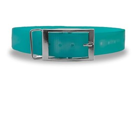 Outdoor Dog Supply 1" Waterproof Replacement Strap for Garmin TT25, T20, TT15X, T5X, TT15, TT10, T5, DC50 (Teal, Solid)