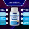 Decent Nature Complejo Magnesio Elemental Suplemento 1000mg Glicinato Citrato Malato