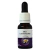Living Essences Blue Leschenaultia 15ml