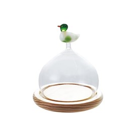 Creative Co-Op, Multicolor and Natural Glass Cloche with Wood Base and Duck Topper, 5" round