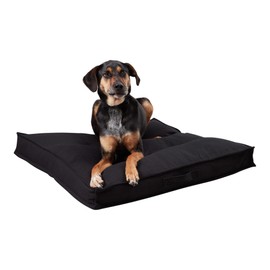 South Pine Porch Mila Square Tufted Pillow Style Dog Bed, Black, Medium (32" x 32")