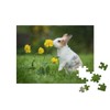puzzleYOU: 100 Piece Little Curious Rabbit - Puzzle Collection Rabbits,