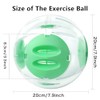Bola de Ejercicio para hámster, Bola de 20 cm para