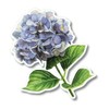 Earth Sky + Water - Hydrangea - 3.5″ Sticker