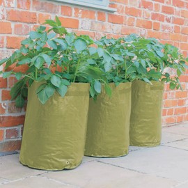 Haxnicks 3 x Potato Patio Garden Planters | Reusable Potato Grow Bags | Easy No Dig Potato Growing | Reinforced Handles | Drainage Holes | Small Garden | 3 Pack, Green 35 x 35 x 45 cm | Planter010101