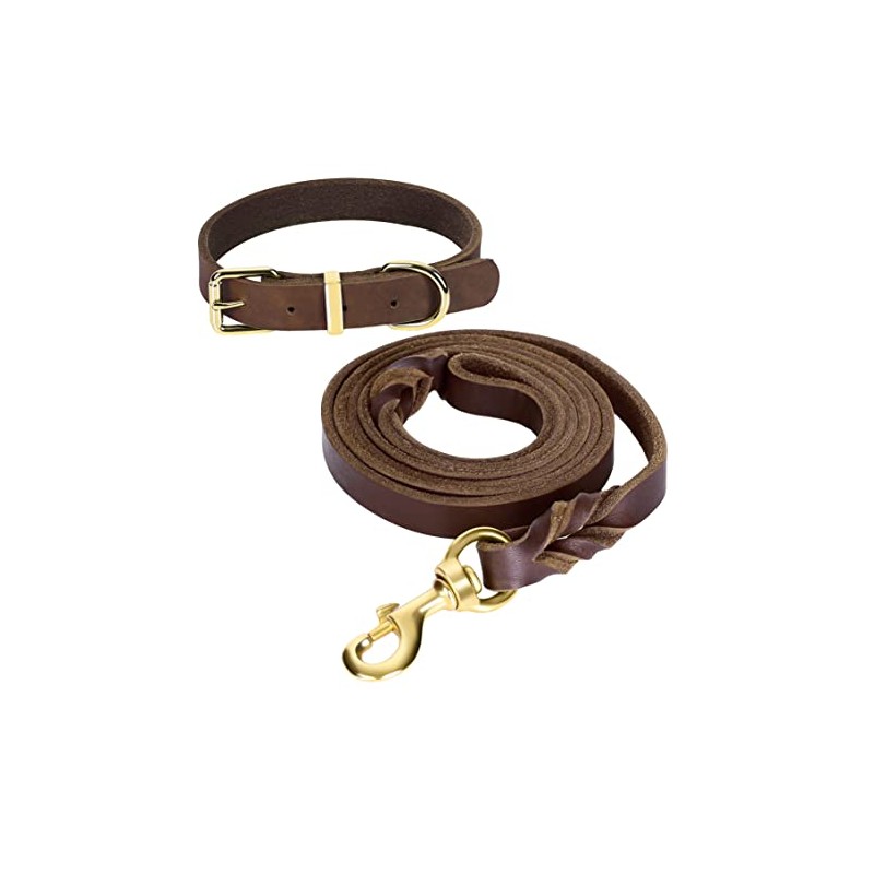 Guiding Star Juego de correa y collar de piel para