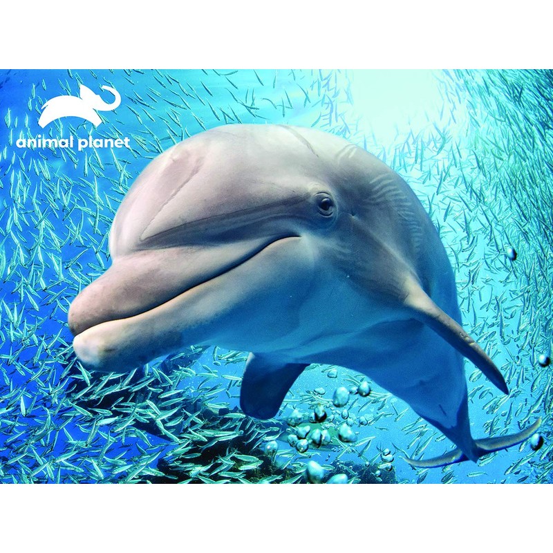 Animal Planet Dolphin 3D Effect 63 Piece Puzzle