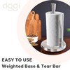 OGGI Stainless Steel Paper Towel Holder - with Tension Arm
