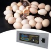 HTMC‑7 DIY Mini Incubator Temperature Control and Automatic Egg Turner
