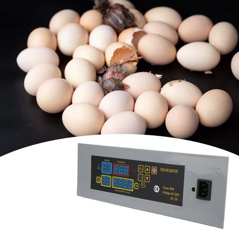 HTMC‑7 DIY Mini Incubator Temperature Control and Automatic Egg Turner
