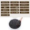 シードコムス 黒ゴマセサミン & 発酵黒ニンニク サプリメント 約6ヶ月分 360粒