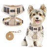 SCENEREAL Puppy Dog Harness with Leash Set for Small Medium