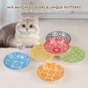 Ceramic Cat Food Bowl Set - Wide Shallow Cat Bowl