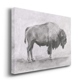 Renditions Gallery Wild Bison I Wall Art, American Bison Charcoal Sketch Print, Black & White Premium Gallery Wrapped Canvas Decor, Ready to Hang, 32 in H x 48 in W, Made in America Artwork