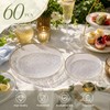 Licaere 60Pcs Clear Plastic Plates - Clear Disposable Plates With