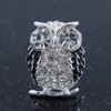 Clear Crystal Black Enamel 'Owl' Stud Earrings In Silver Plating