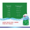 HTH 67032 Super Algae Guard Swimming Pool Algaecide Cleanser, 1